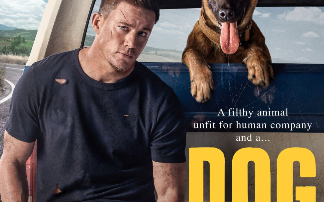 Pas – Dog
