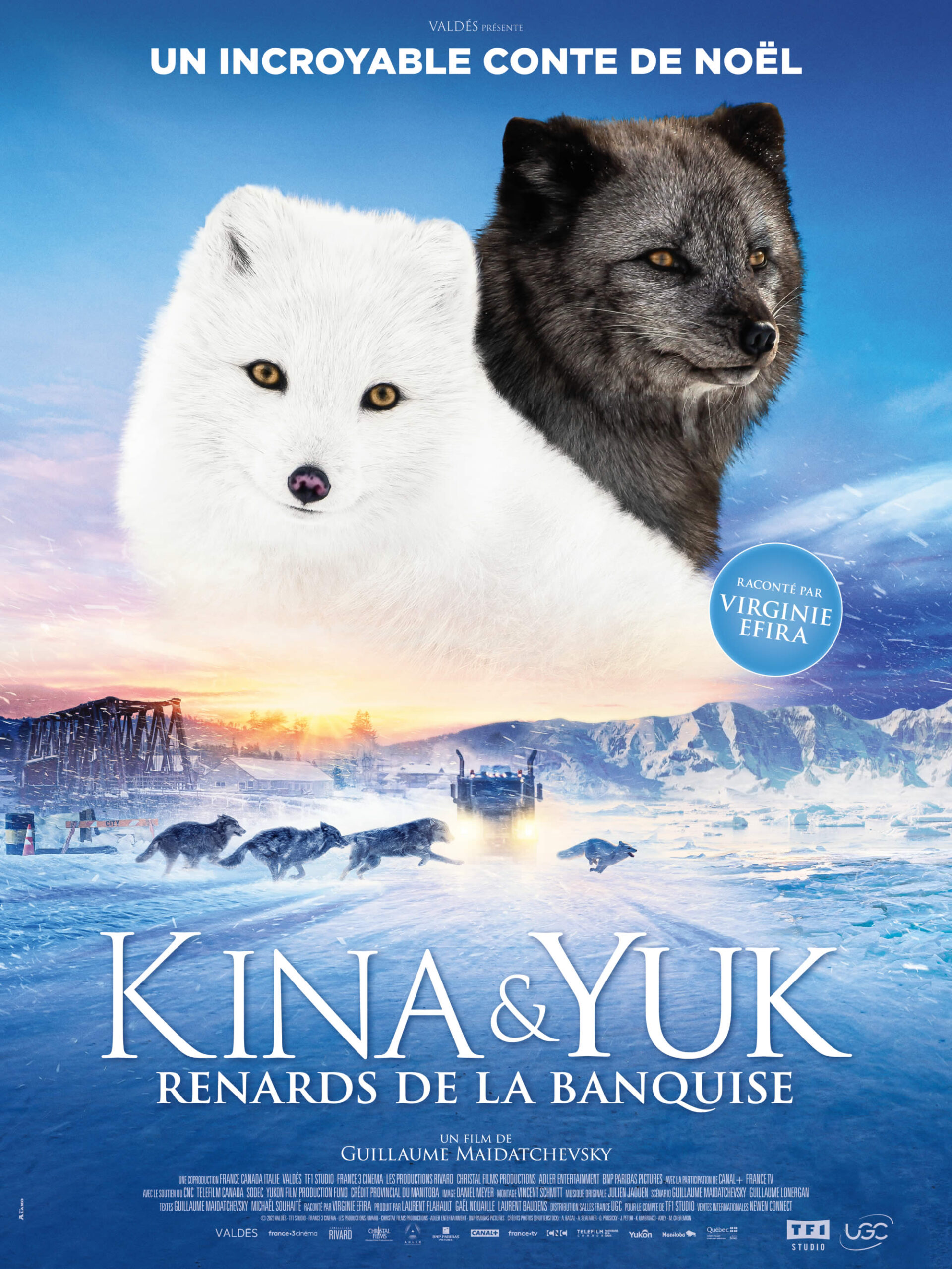 Polarna odiseja – Kina et Yuk, renards de la banquise