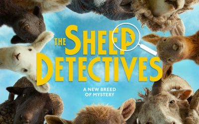 Ovce detektivi- The Sheep detectives SINK